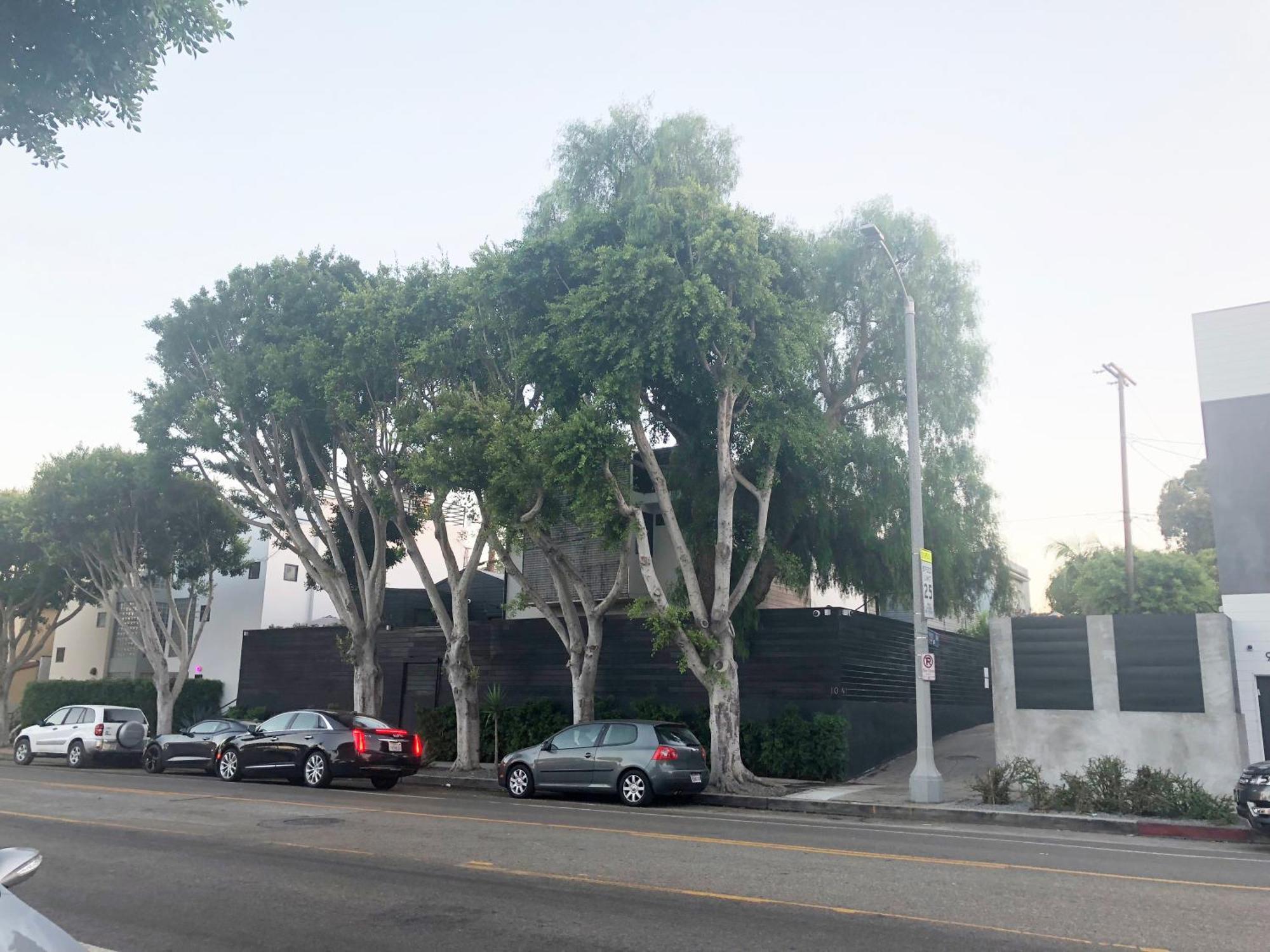 Venice Beach Studio With Large Private Patio Steps To The Beach 洛杉矶 外观 照片