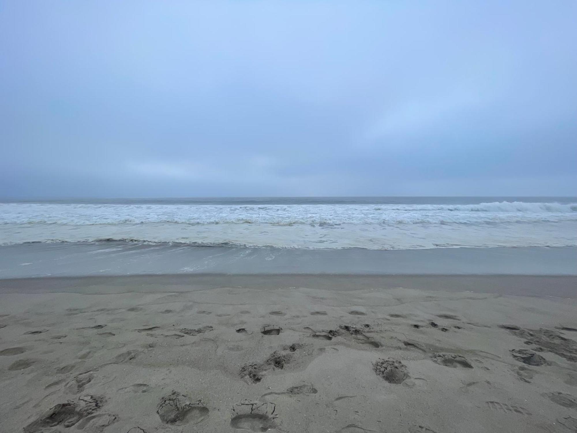 Venice Beach Studio With Large Private Patio Steps To The Beach 洛杉矶 外观 照片