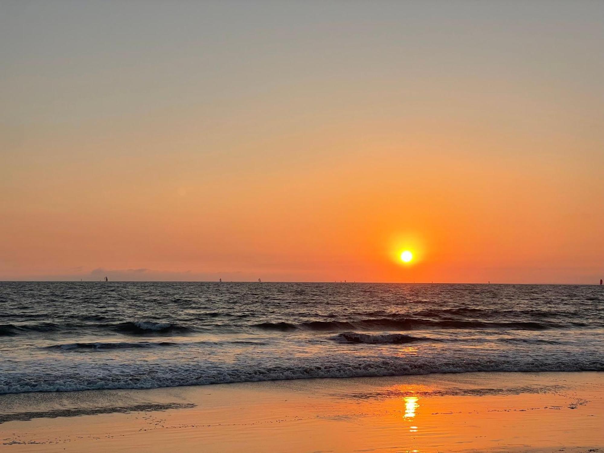 Venice Beach Studio With Large Private Patio Steps To The Beach 洛杉矶 外观 照片