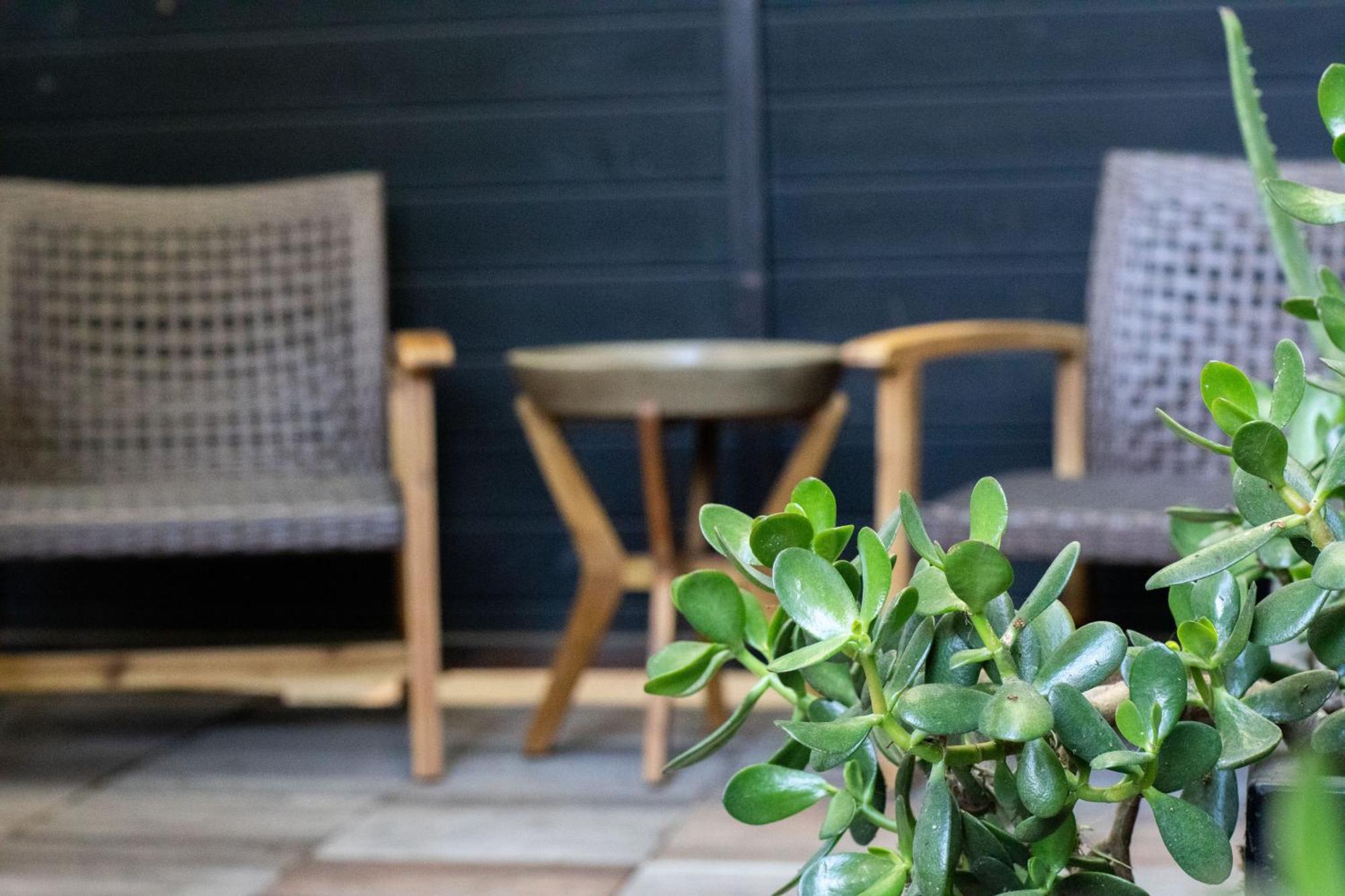 Venice Beach Studio With Large Private Patio Steps To The Beach 洛杉矶 外观 照片