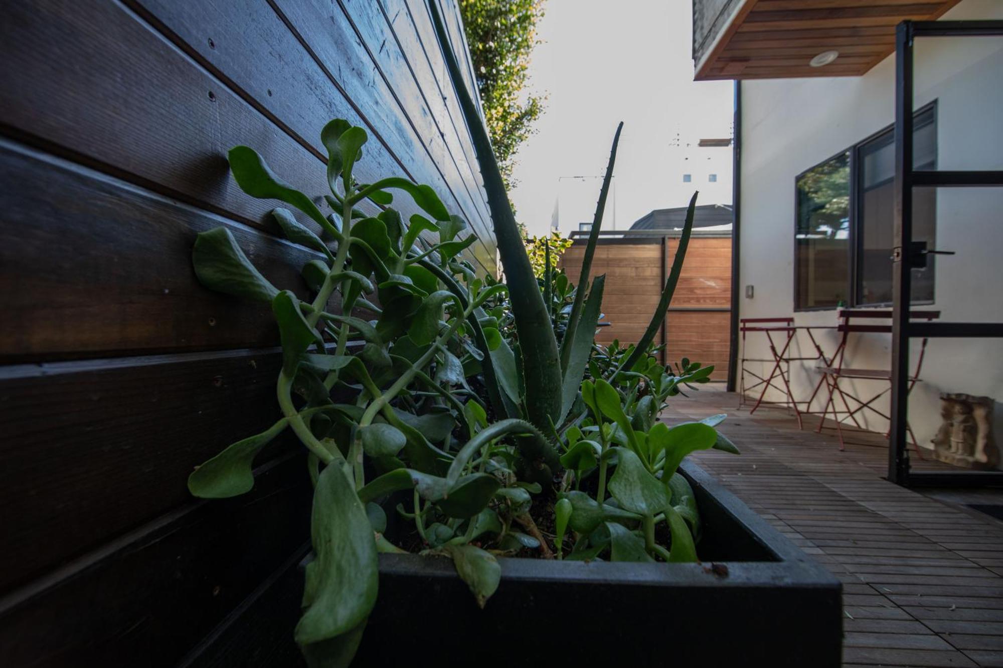 Venice Beach Studio With Large Private Patio Steps To The Beach 洛杉矶 外观 照片