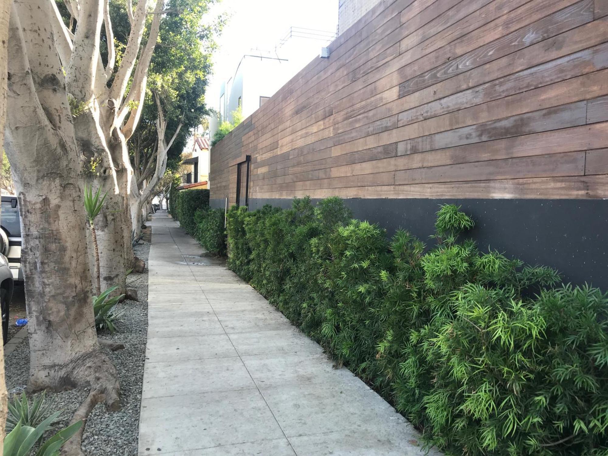 Venice Beach Studio With Large Private Patio Steps To The Beach 洛杉矶 外观 照片