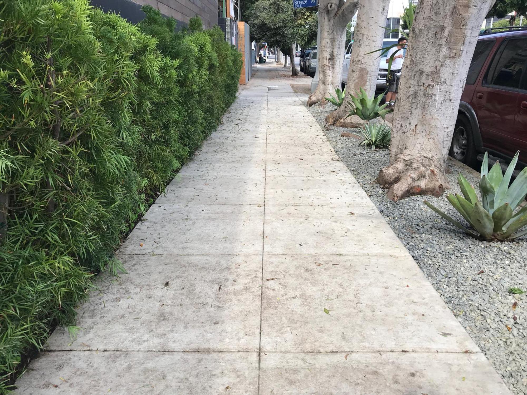 Venice Beach Studio With Large Private Patio Steps To The Beach 洛杉矶 外观 照片